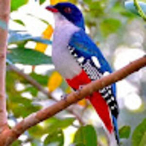 Meet your Posher, Molly